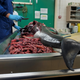 Blood and guts galore as the dolphin autopsy continues.